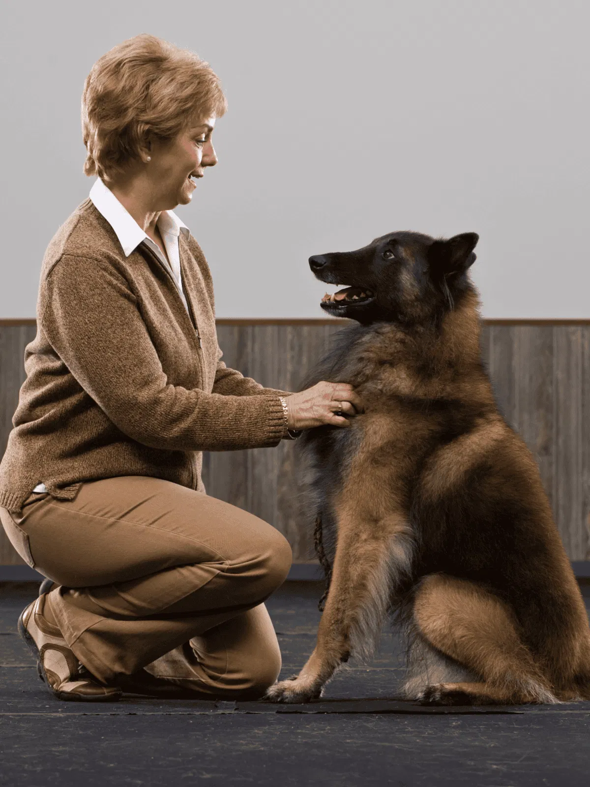A woman kneels and interacts with her trained German Shepherd dog indoors, emphasizing dog training and obedience.