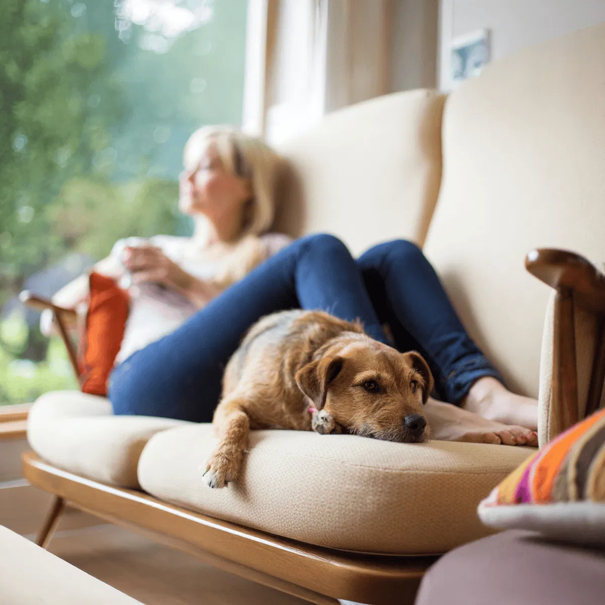 Dog and owner relaxing at home, emphasizing pet comfort and care.