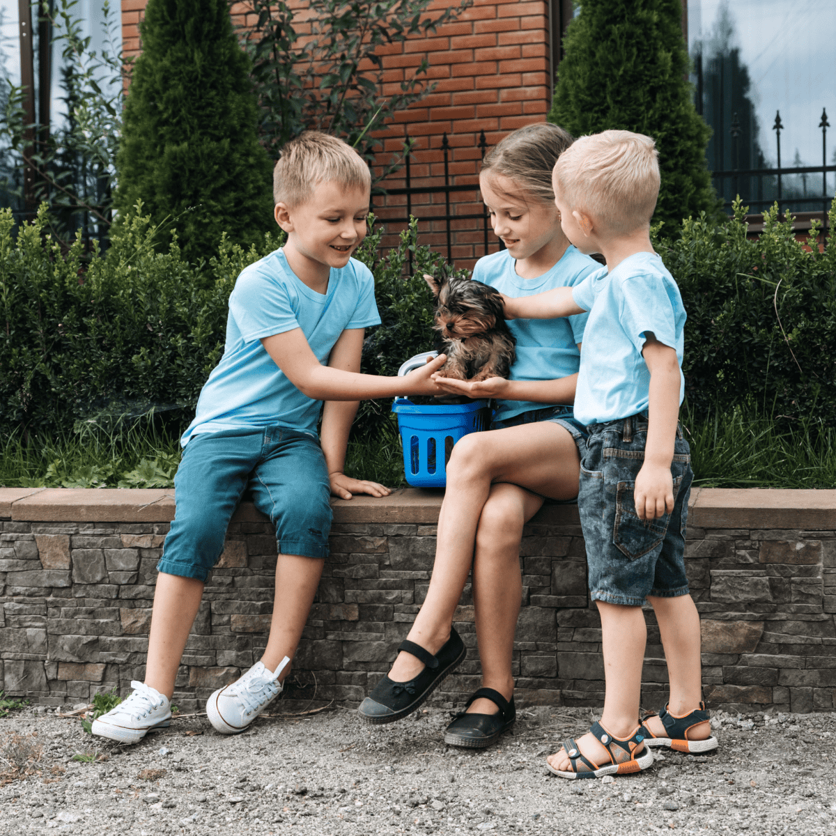 Adorable children playing with a small puppy outdoors, highlighting pet care and fun.