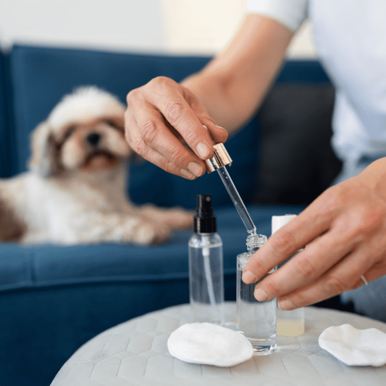 Are Essential Oils Safe for Dogs?
