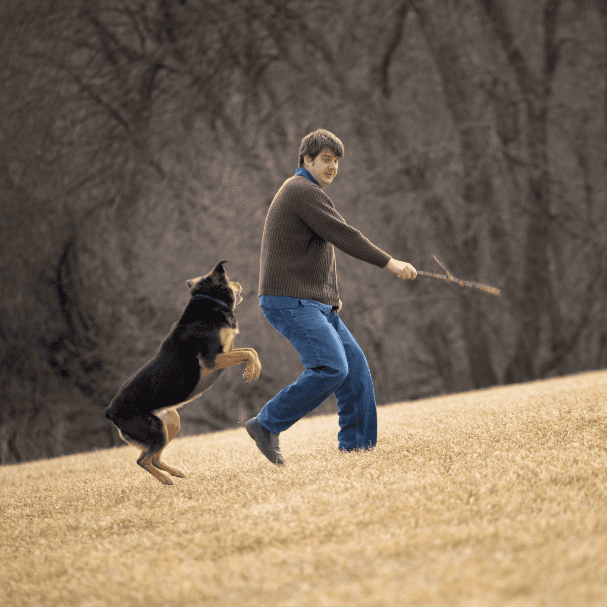 Happy man playing fetch with energetic Border Collie dog outdoors.