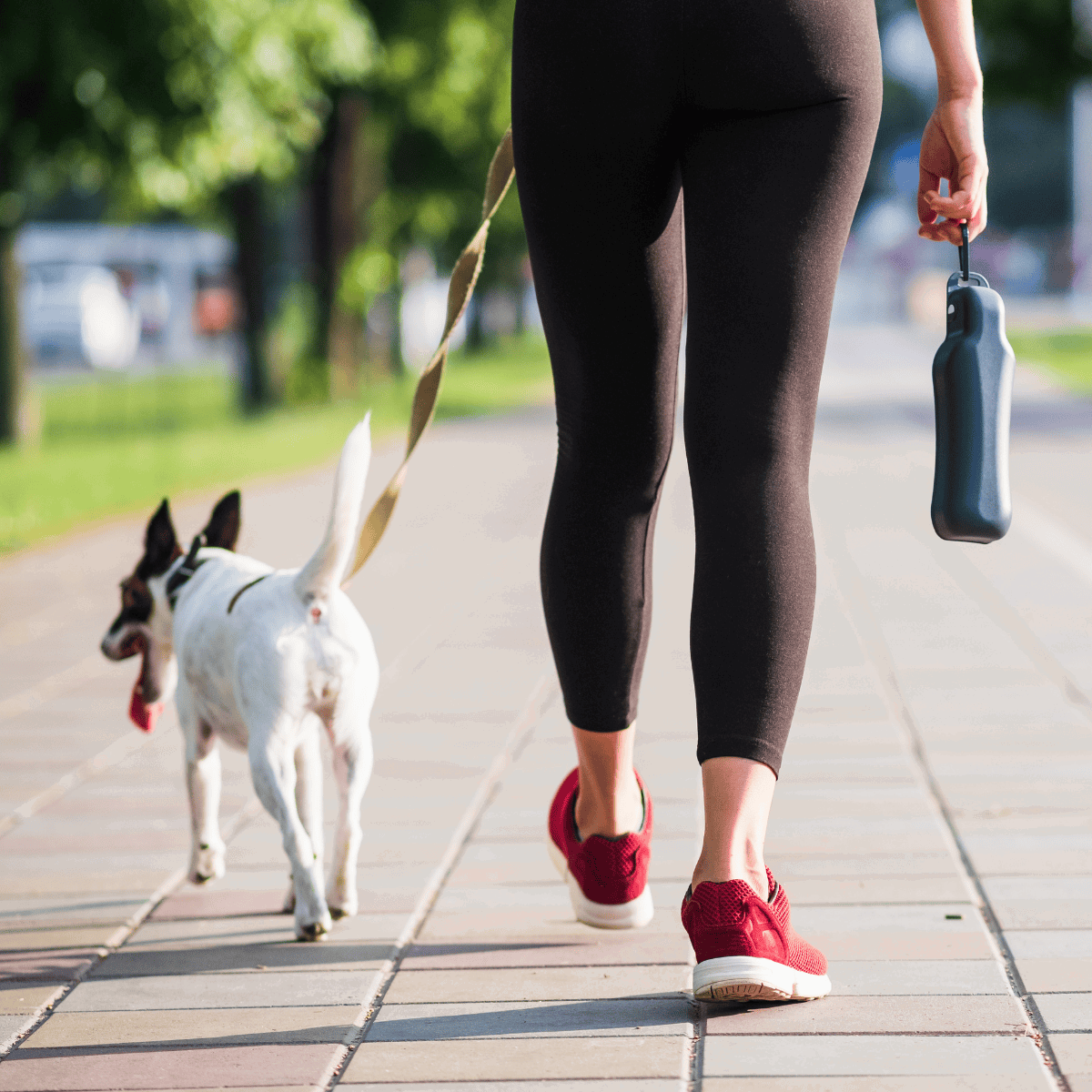 Bright, durable, and comfortable for daily walks.