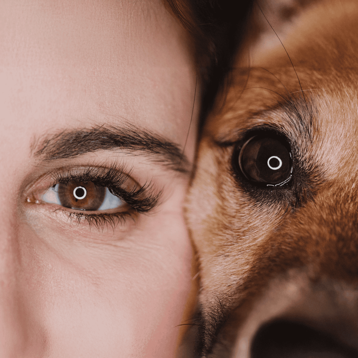 Adorable close-up of a woman's eye and dog's eye, emphasizing trust and bond in pet care services.