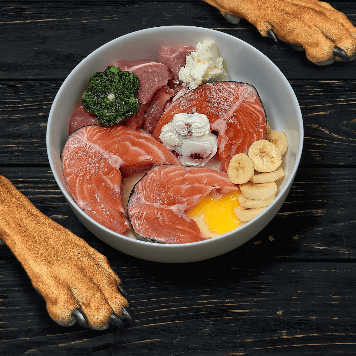 High-quality salmon, bananas, and nutritious toppings for homemade dog meals.