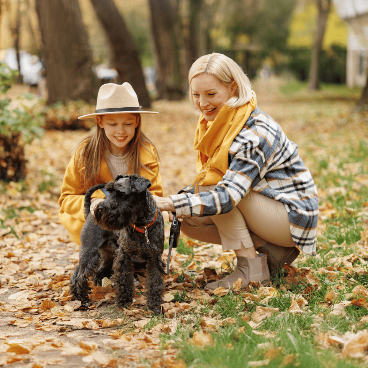 Adorable dog with owner and girl in fall park. Dog health, care, and training. Dogfix.com trusted pet services.
