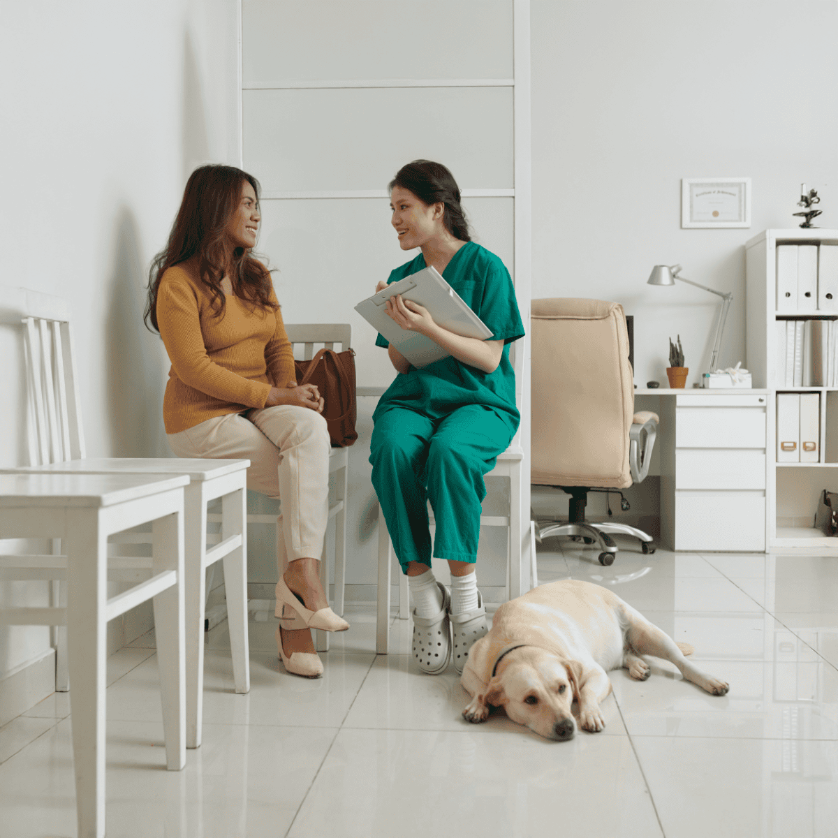 Veterinarian and pet owner discussing care plans in veterinary clinic with friendly atmosphere.
