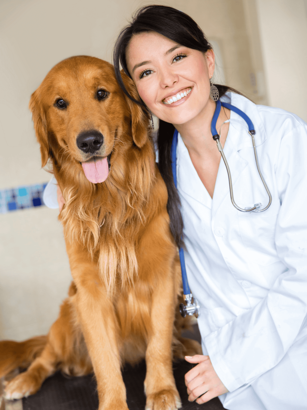 Reliable veterinary care for dogs at Dogfix.com.