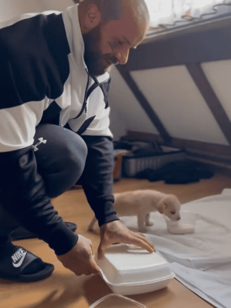 Pet-friendly, top pet care from Dogfix.