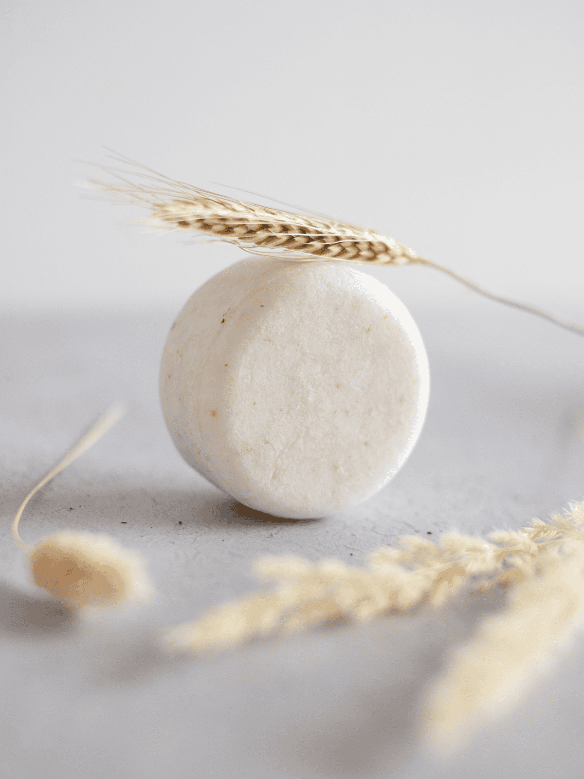 Alt: White round supplement pill with dried wheat and grasses on a light background.