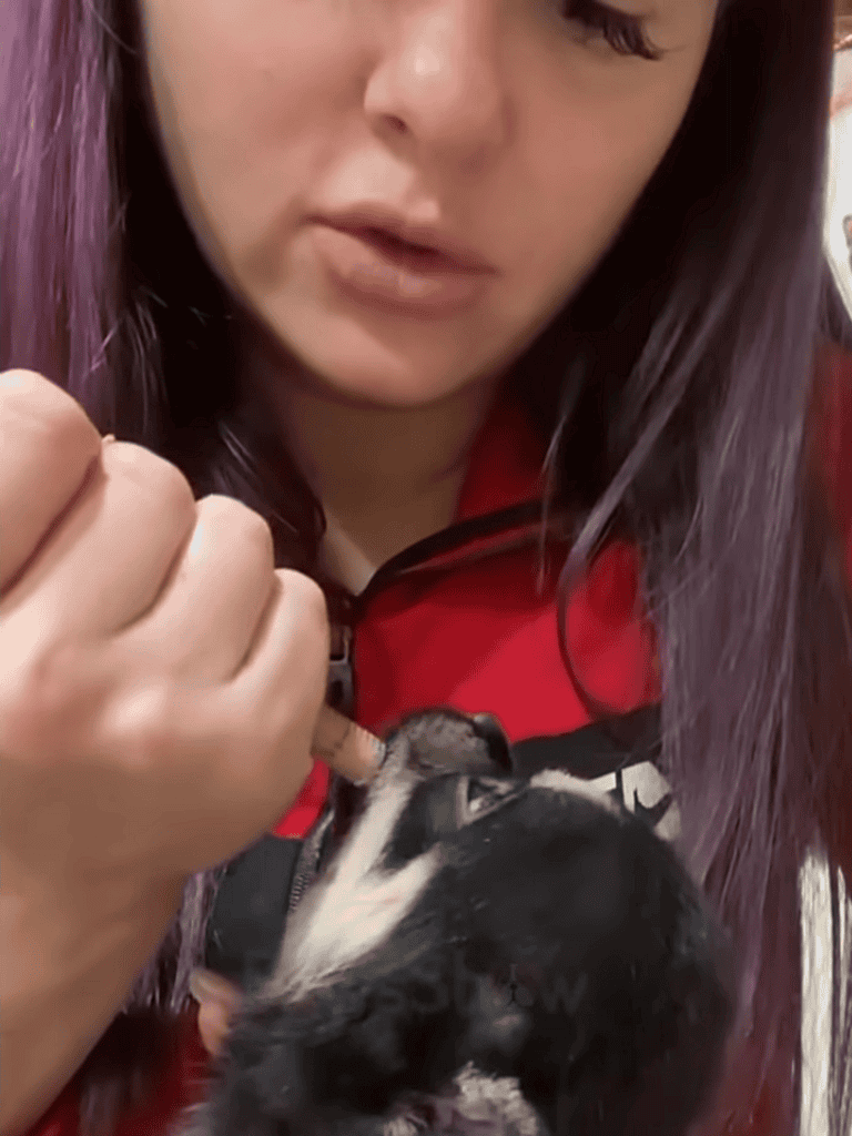 Close-up of a woman feeding a small puppy with a spoon, highlighting pet care and animal love.