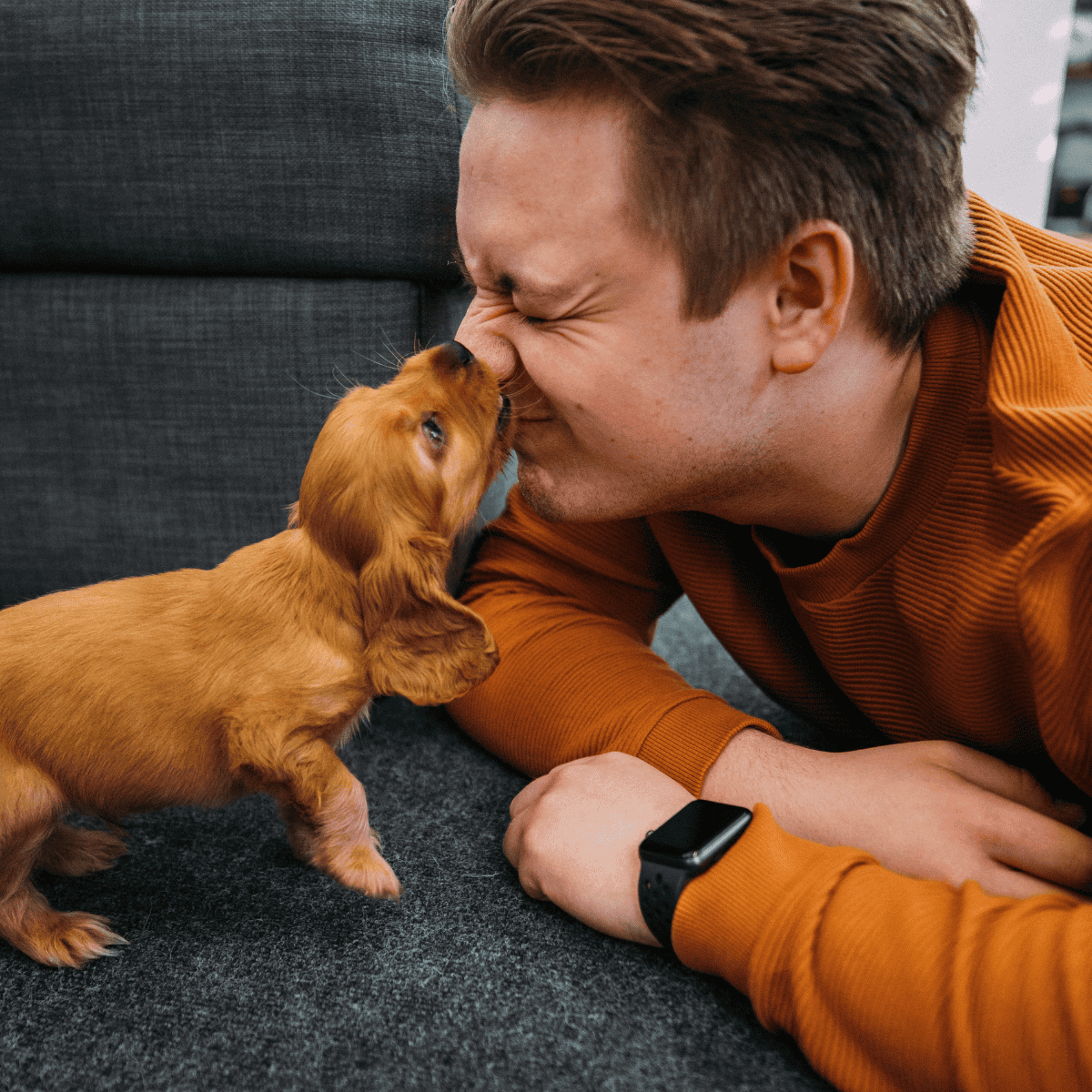 Adorable golden retriever puppy and young man playing on the floor, smiling and cuddling.