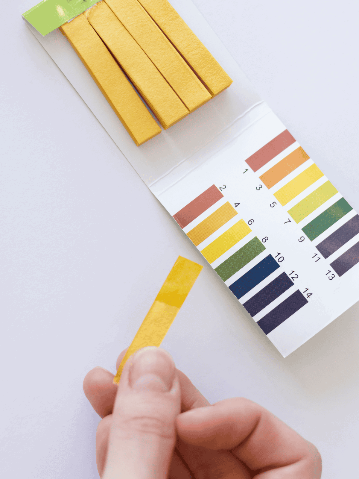 Color test strips for dog coat analysis and grooming.