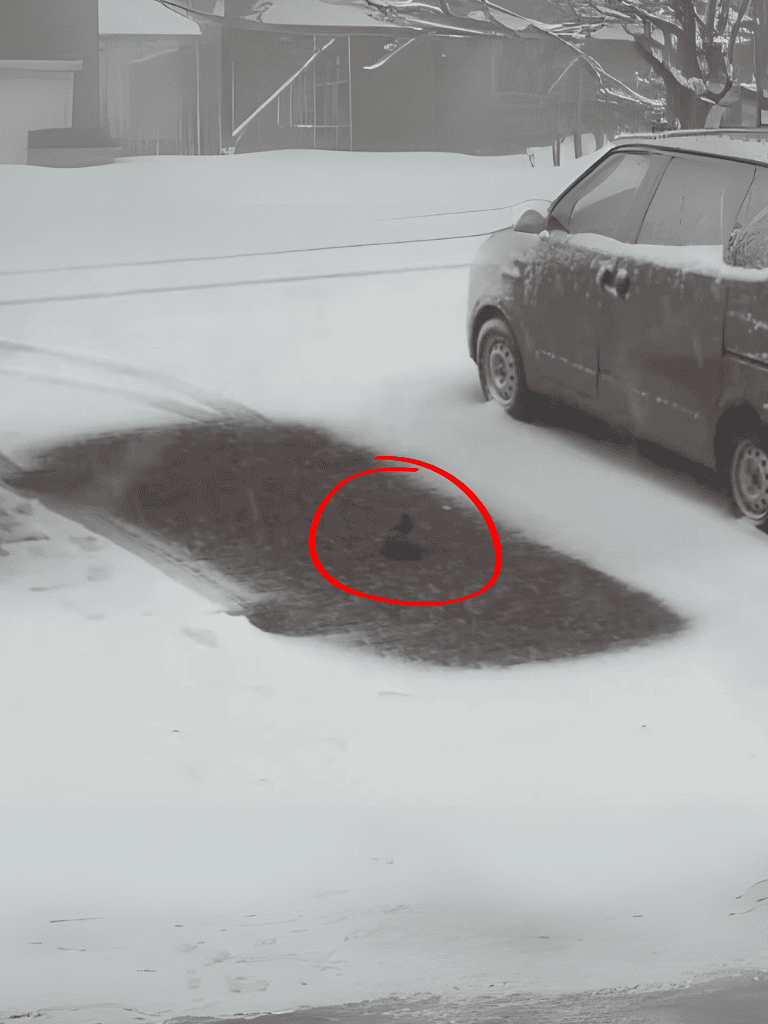 Snow-covered parked car in winter scene with dog in backyard.