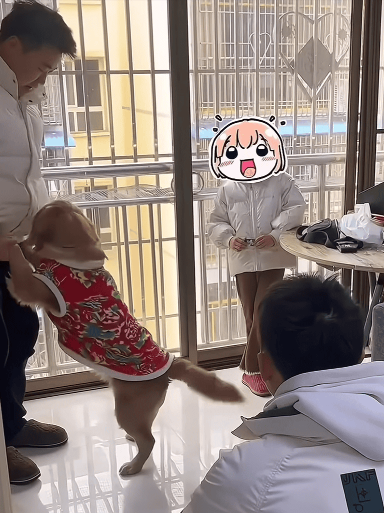 Happy dog wearing a festive sweater with people at a training session.