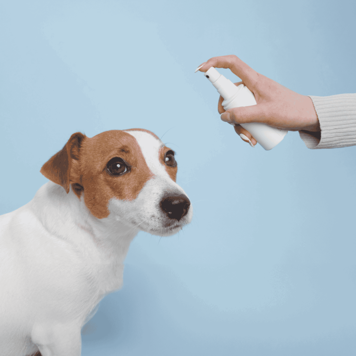 Allergy spray for dogs, pet allergy relief, dog skin allergy treatment, Dogfix products for allergy issues.