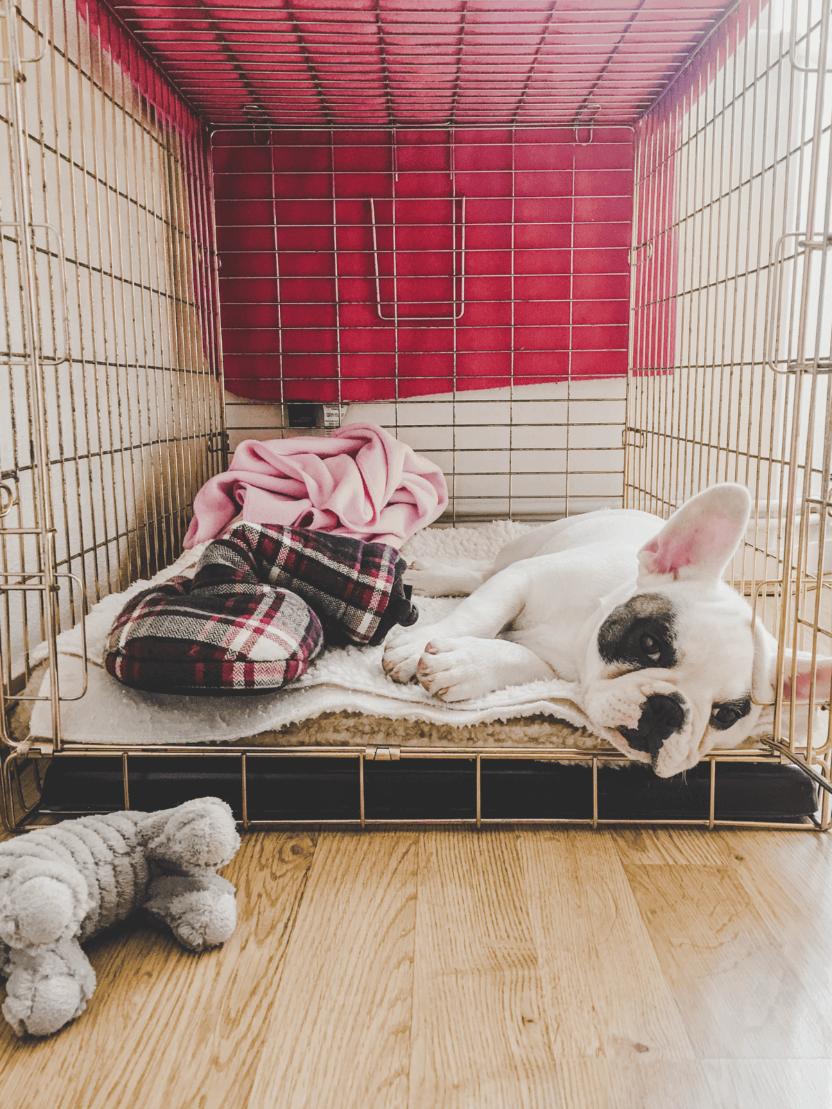 Adorable puppy lying comfortably in a dog crate with blankets and a plush toy, showcasing pet care solutions.