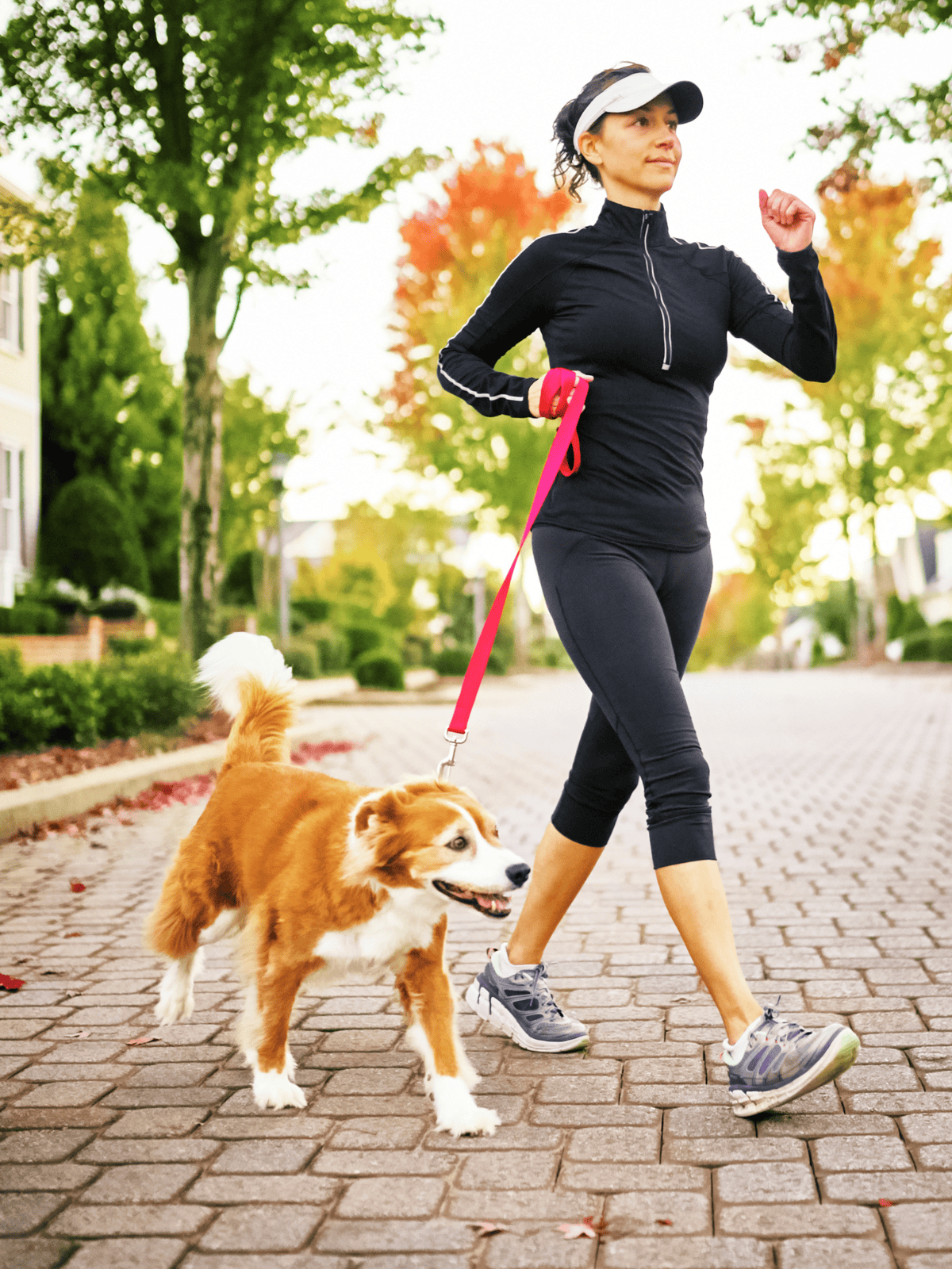 Dog walking, outdoor exercise, pet care.