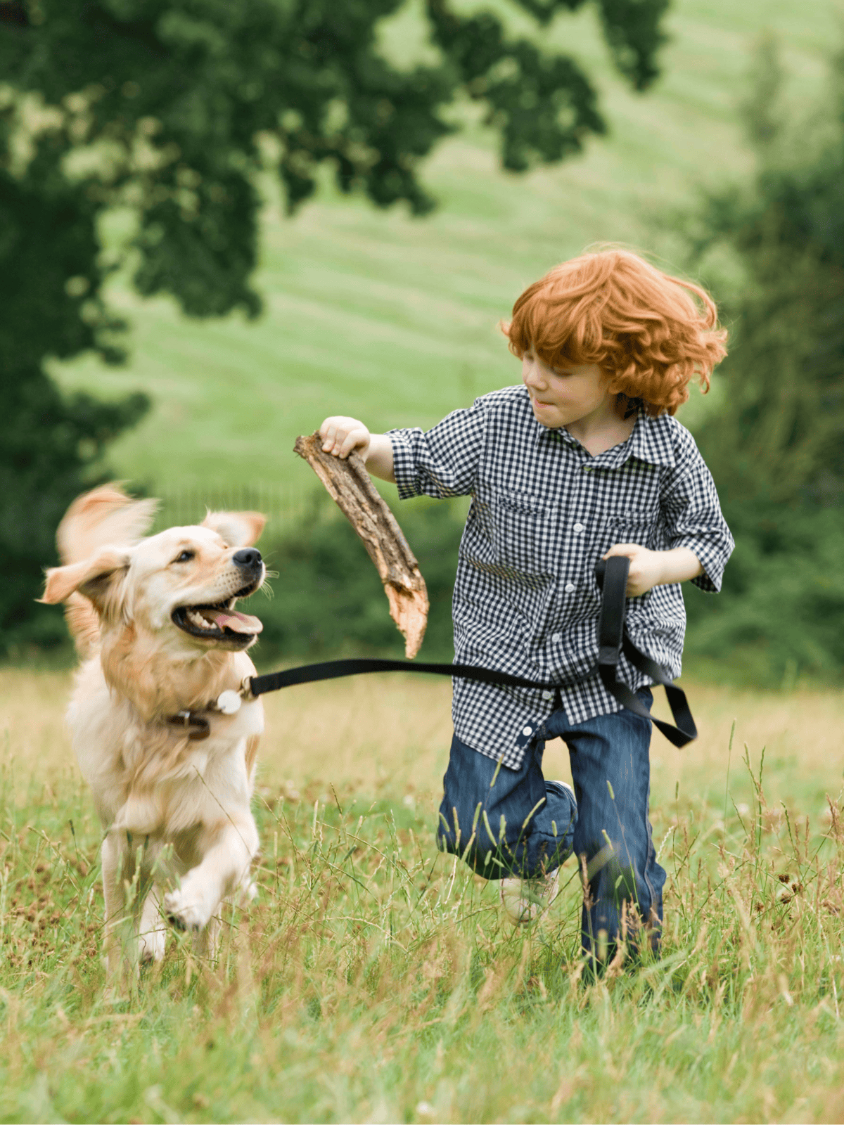 Dog and kid playing in nature, happy dog enjoying outdoor fun.