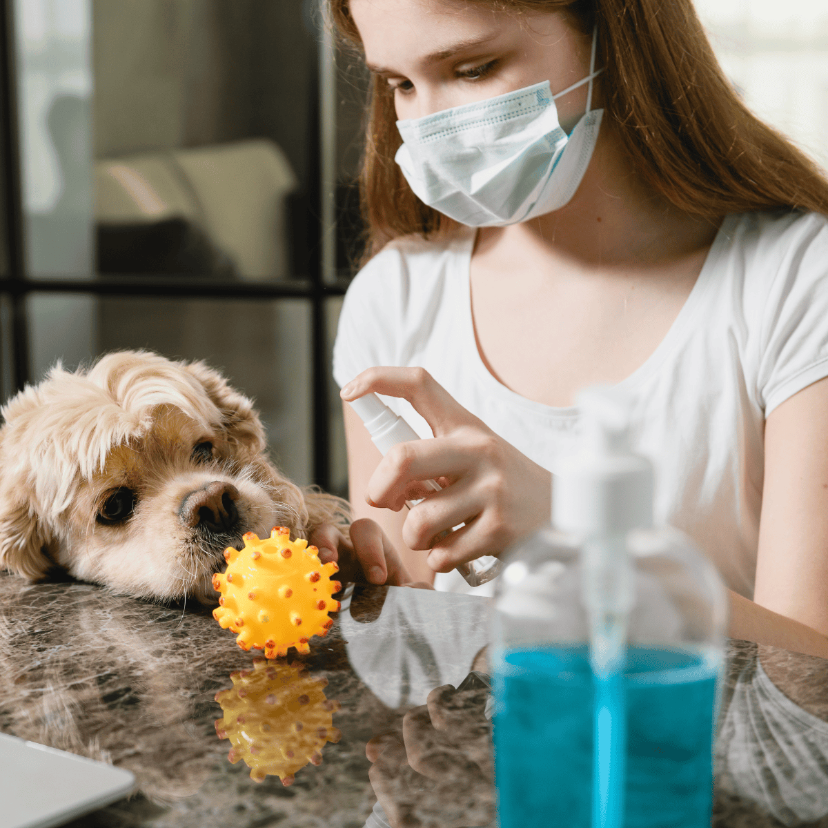 Dog with veterinarian, health checkup, medication, and wellness.