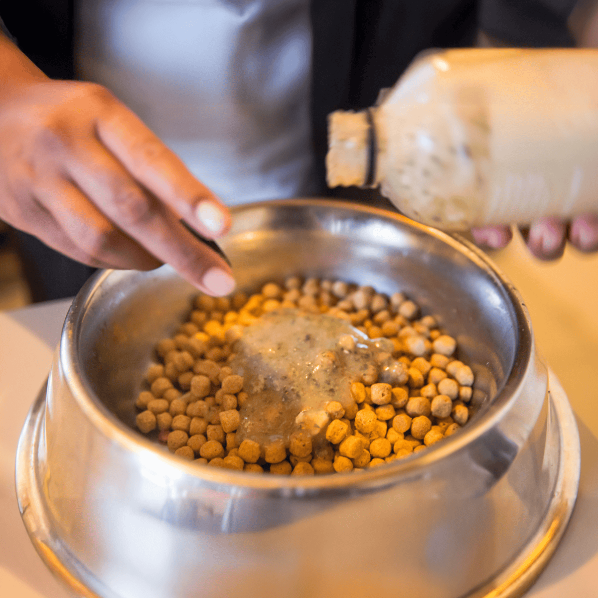 Close-up of dog food being prepared, with hand adding ingredients into a metal bowl, showcasing quality pet nutrition and homemade dog food.