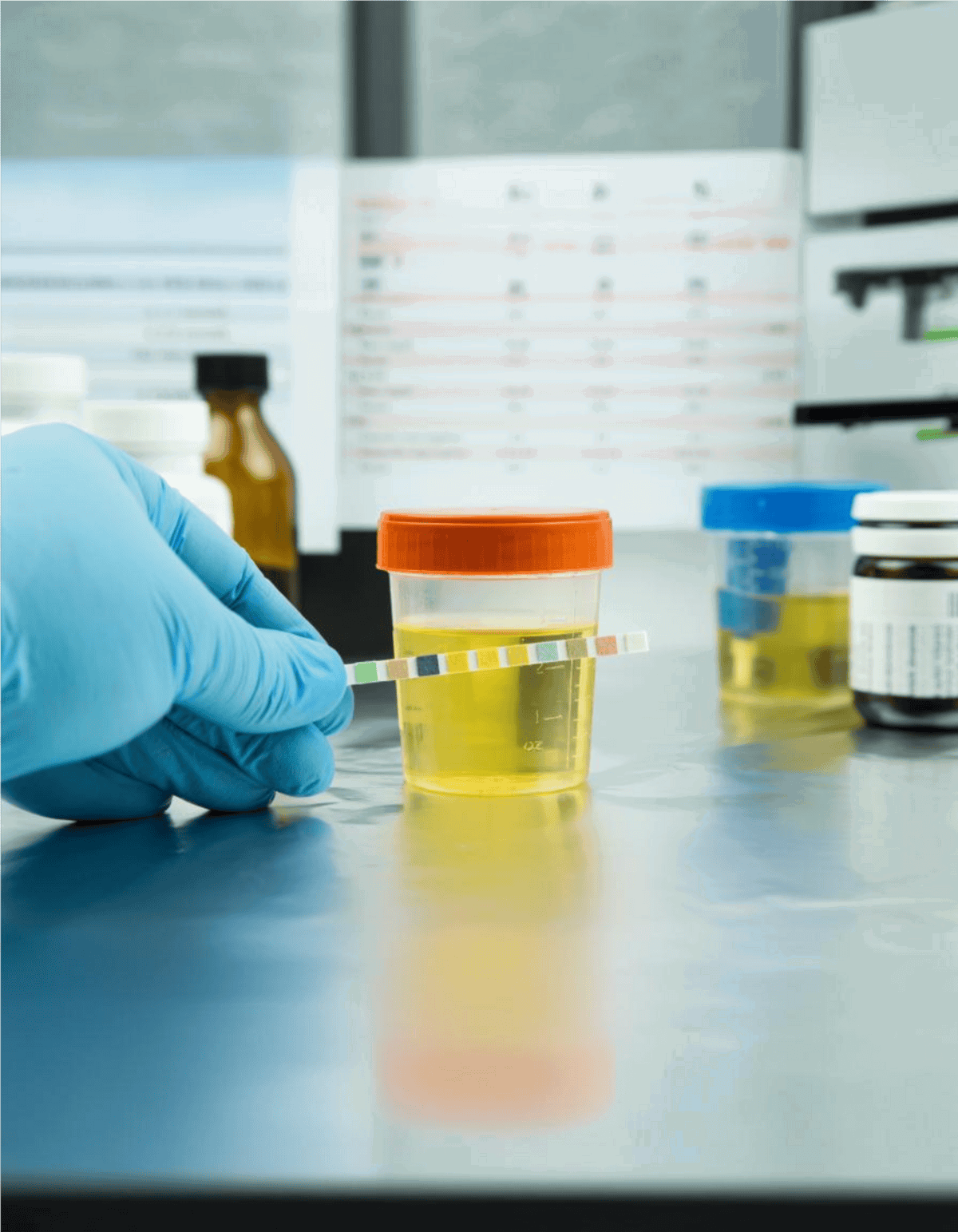 Pet health diagnostics laboratory urine sample testing.