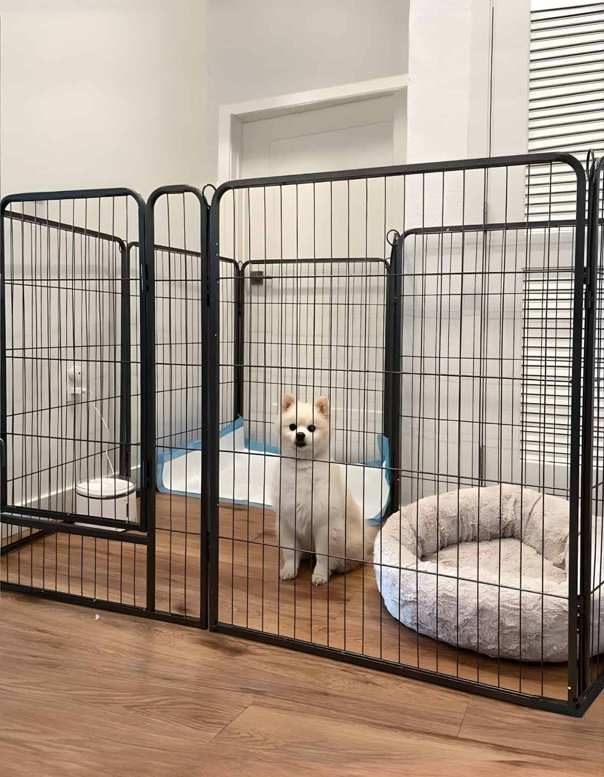 Portable dog crate with bed ideal for small or medium dogs’ safety.