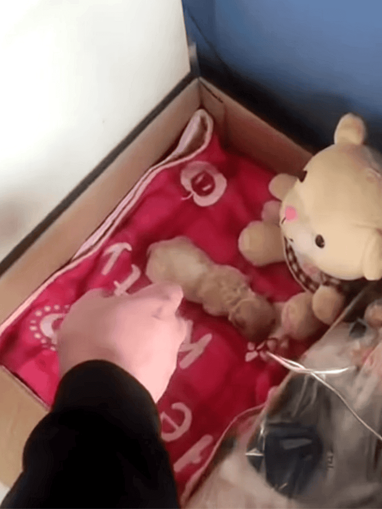 Adorable tiny puppy laying on plush pink blanket in a box with stuffed bear toy nearby.