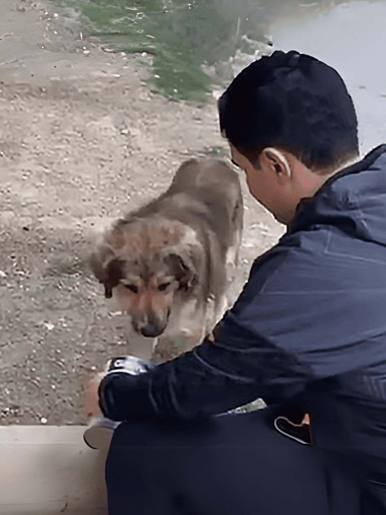 Close-up of a man gently interacting with a brown and gray dog outdoors near water.