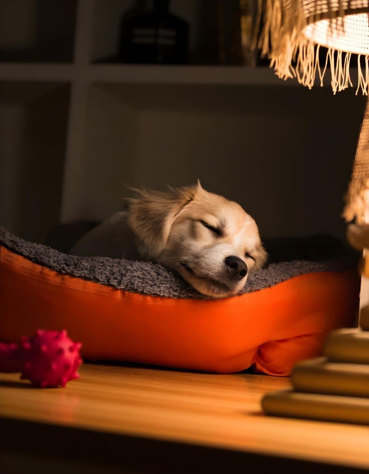 Adorable puppy peacefully sleeping in a soft, comfortable dog bed under warm lighting, showcasing pet comfort and care.