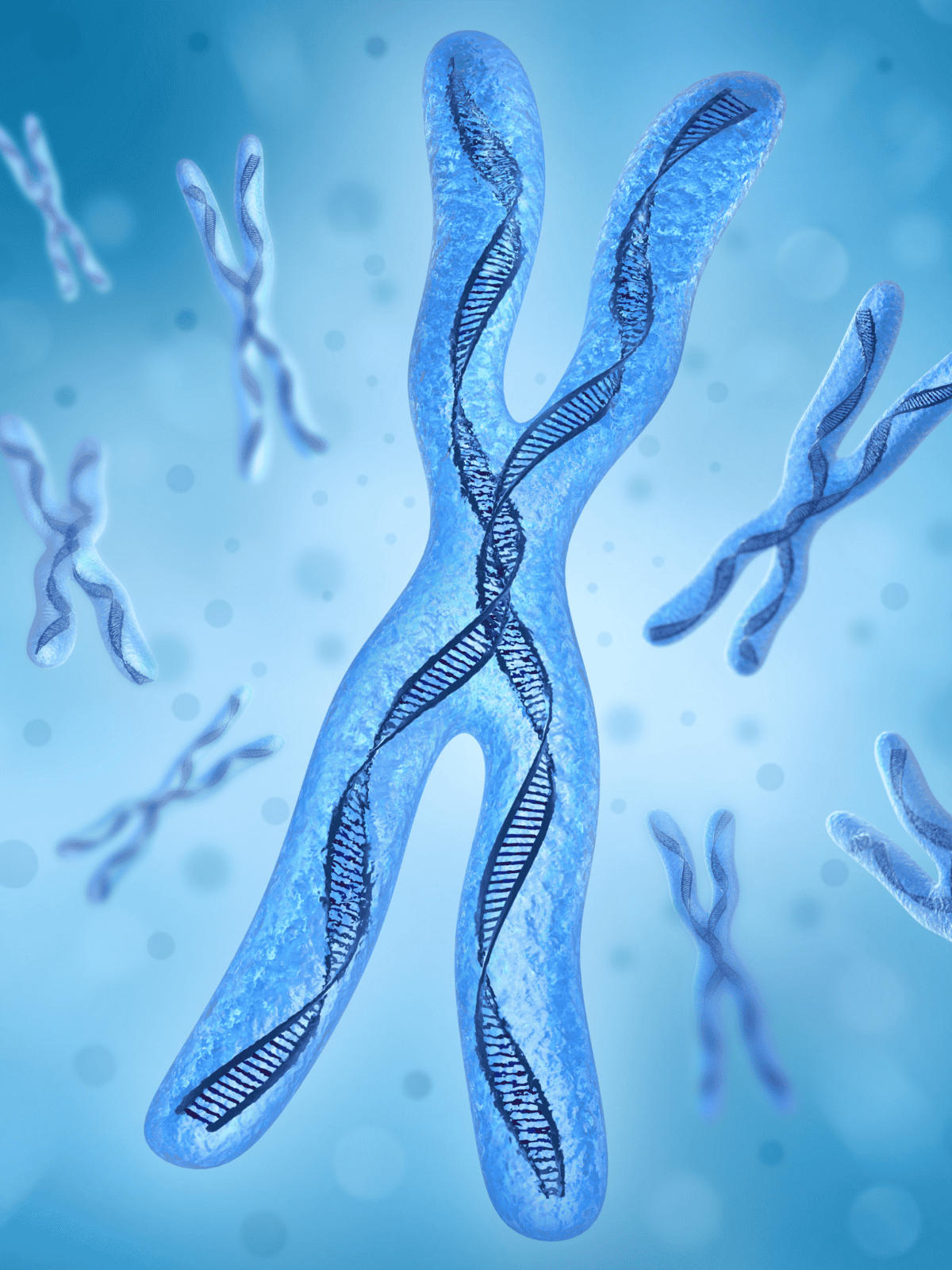 High-quality DNA chromosome close-up for genetic testing and molecular biology studies.