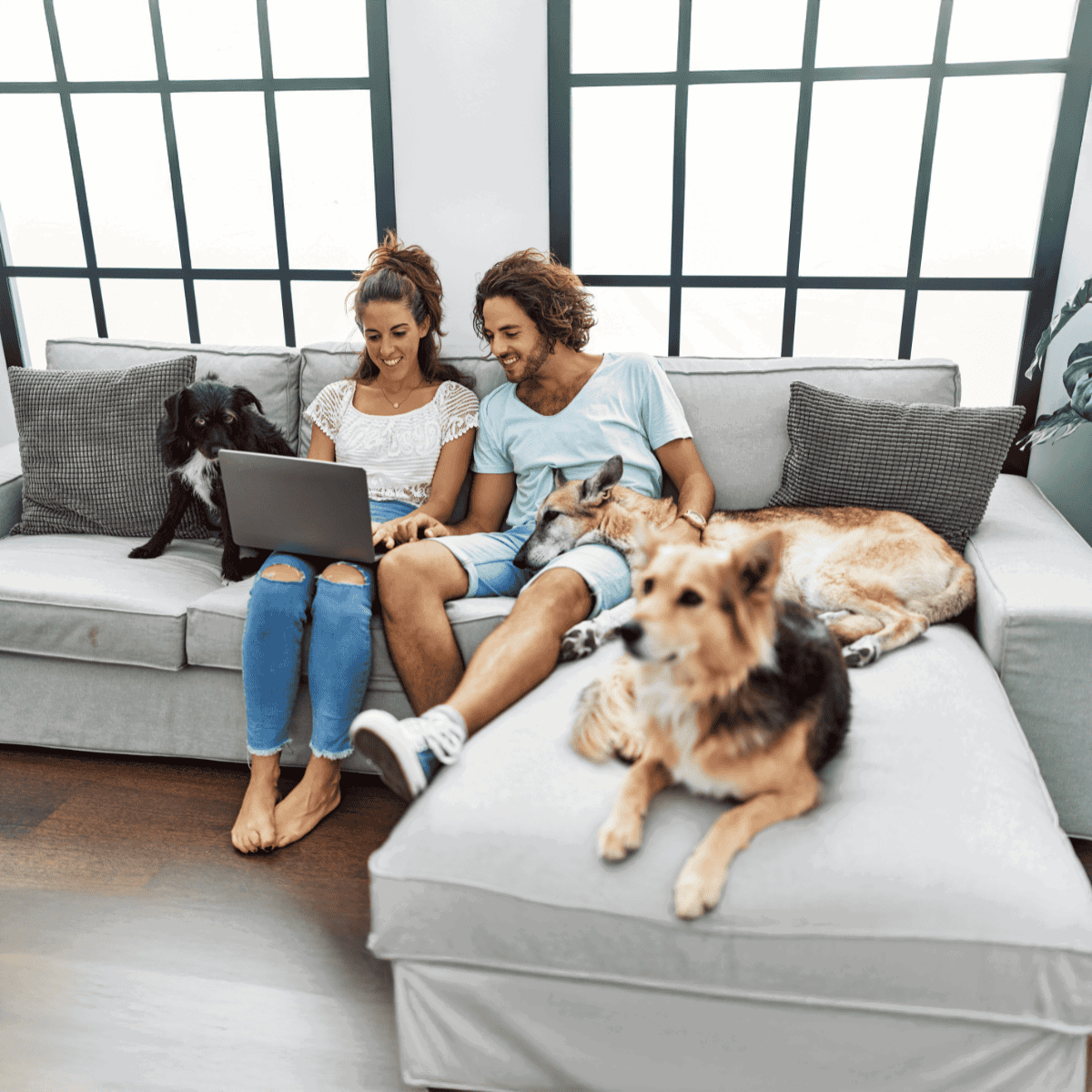 Cute dog and owner relaxing together on modern sofa, pet care, comfort, cozy home lifestyle.