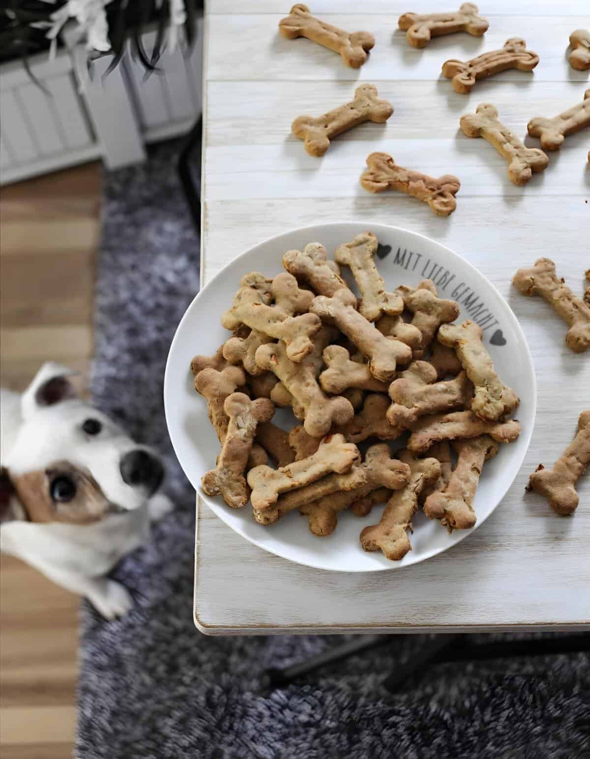Healthy homemade dog treats in bone shape for dogs. Natural, crunchy, and nutritious dog snacks.