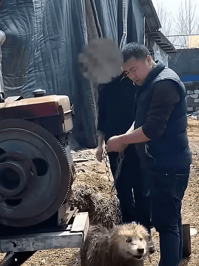 Alt text: Man repairing engine outdoors with a dog nearby, in a rustic setting.
