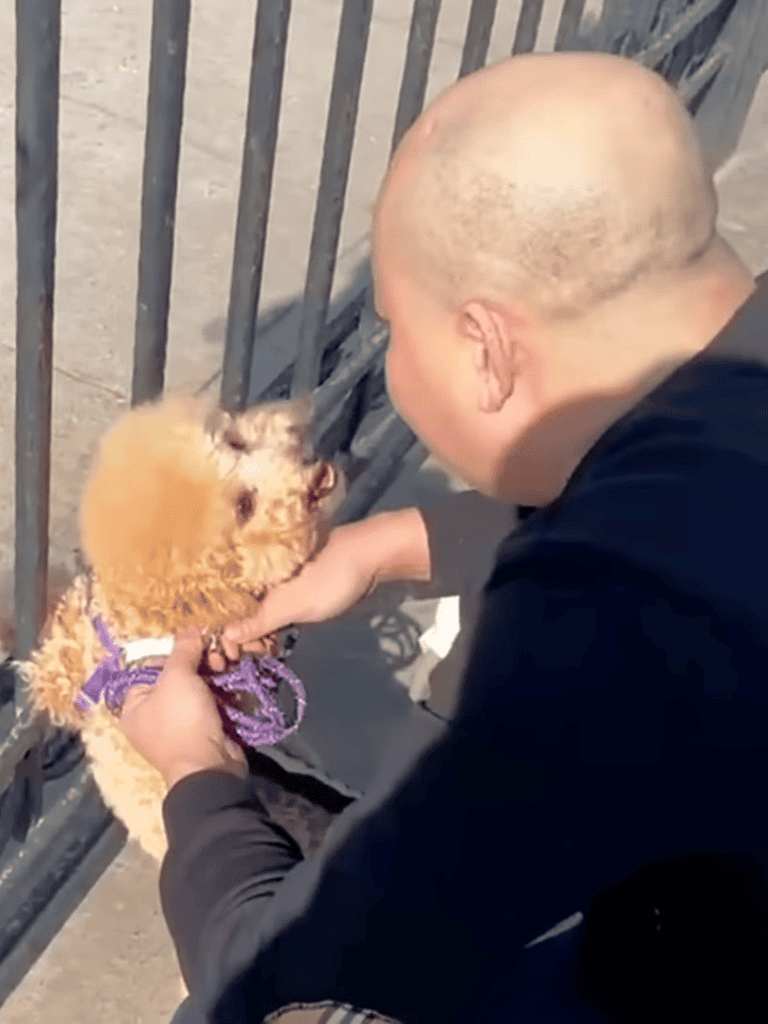 A man interacting gently with a small, fluffy dog behind a metal fence, showcasing loving pet care.