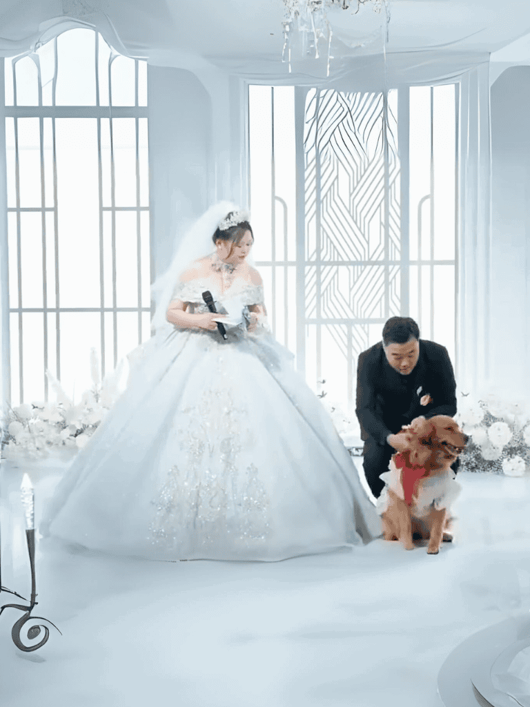 Elegant wedding with dog companion.