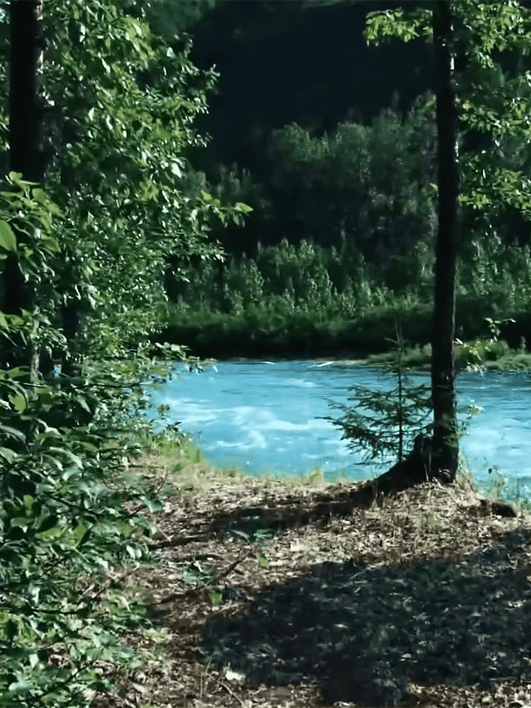 A peaceful river flowing through a dense green forest, perfect for nature walks and outdoor adventures.