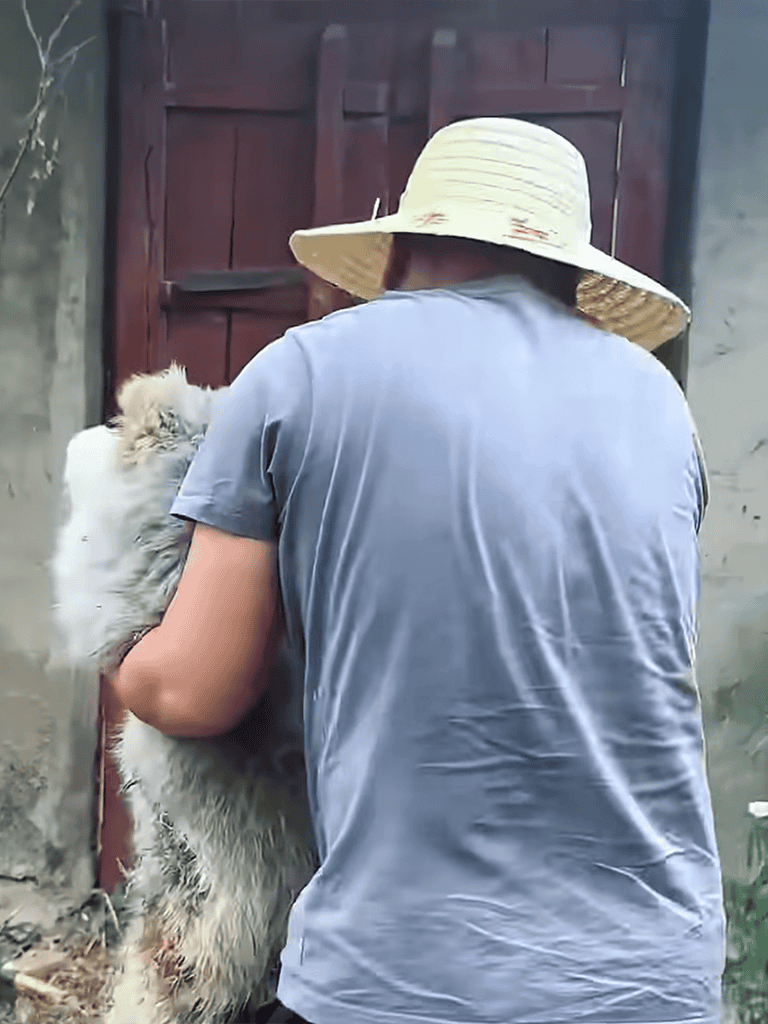 Person and dog bonding scene outside.