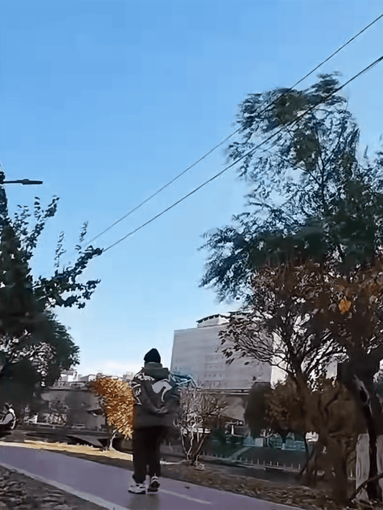 Dogfix.com - Pet care and dog walking services in urban neighborhoods.