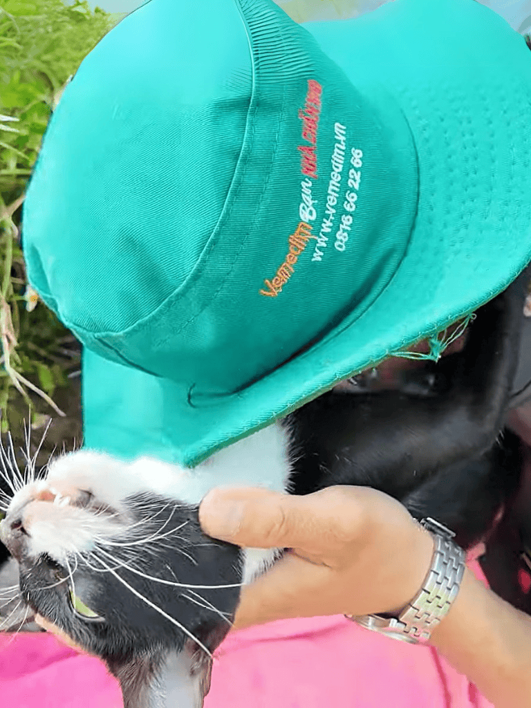 Sun Protection Dog Hat for Outdoor.