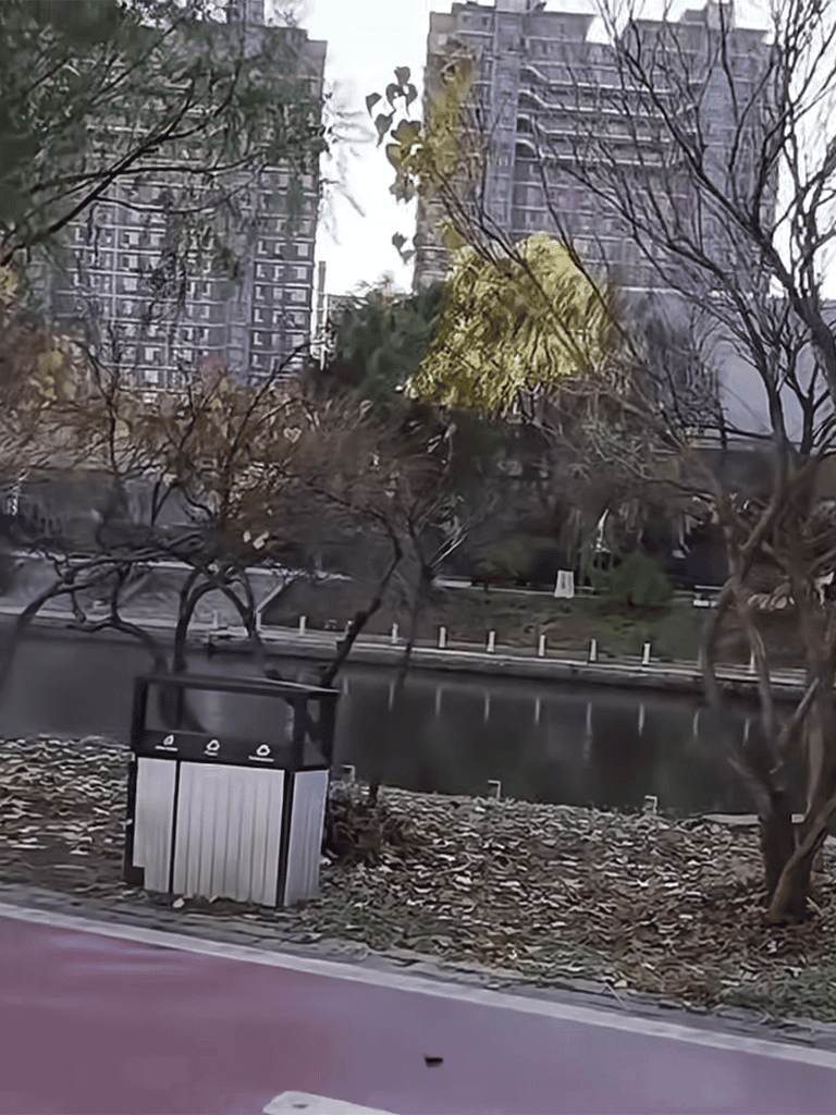 Tree collapsed near riverbank in urban park with fallen leaves, surrounded by buildings and bare trees.