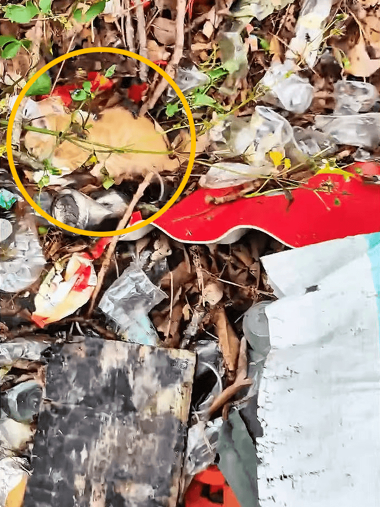 Dog waste and litter on ground, environmental cleanup for pet safety.