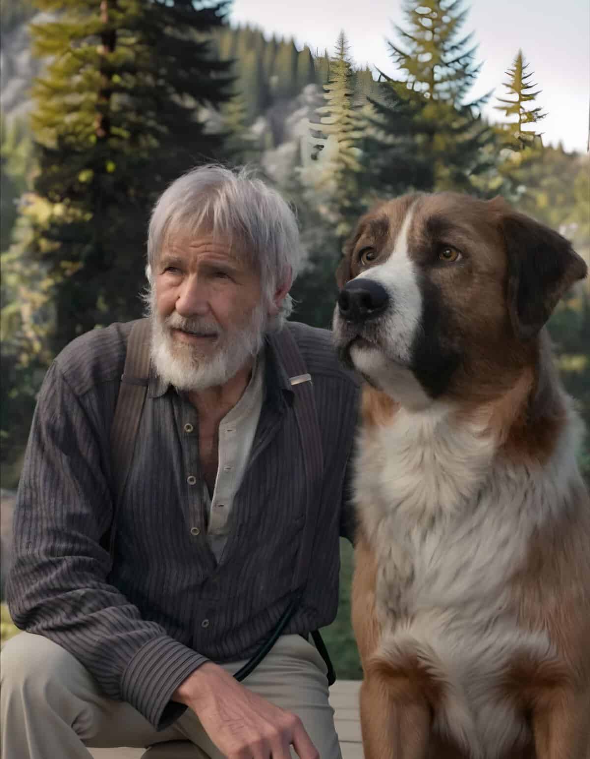 Senior man with big dog in forest, outdoor pet companionship, dog wellness, elderly pet care.