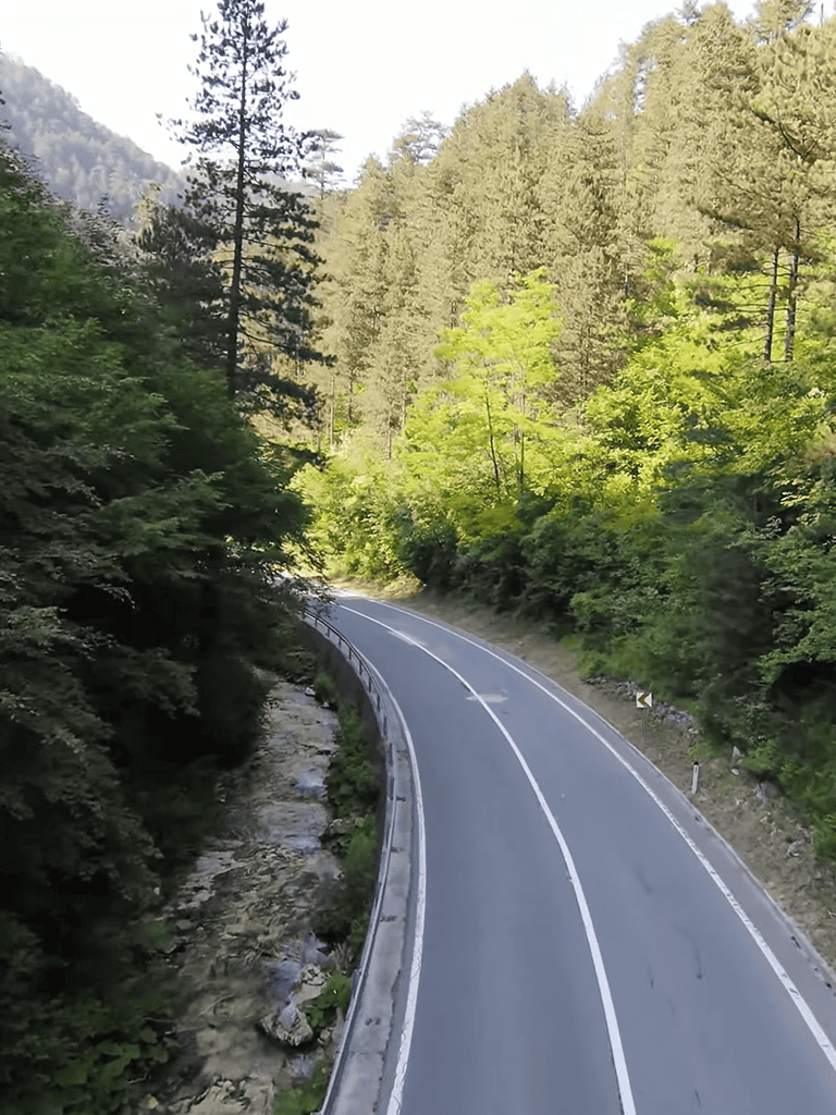 Scenic mountain road winding through vibrant green forest with tall trees and rocky stream beside.