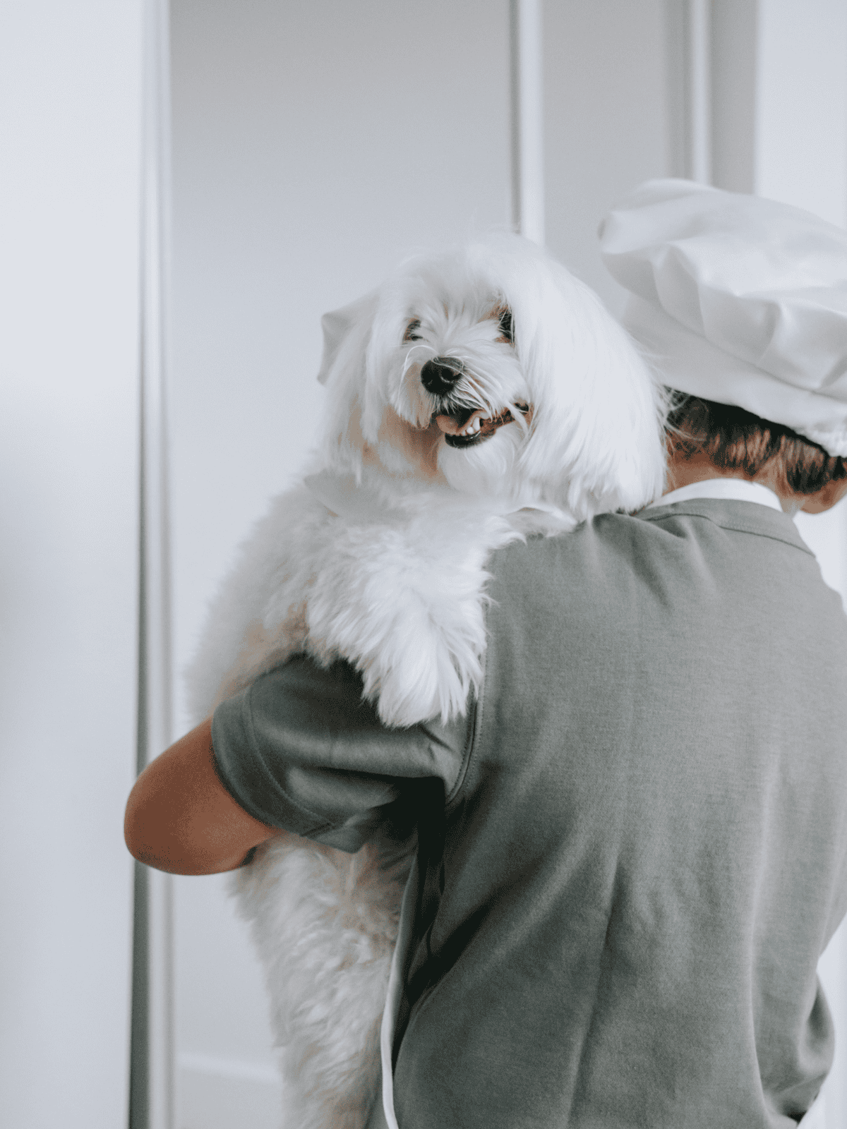 Dog grooming service for happy, healthy pets | Expert grooming for your dog at Dogfix.com.