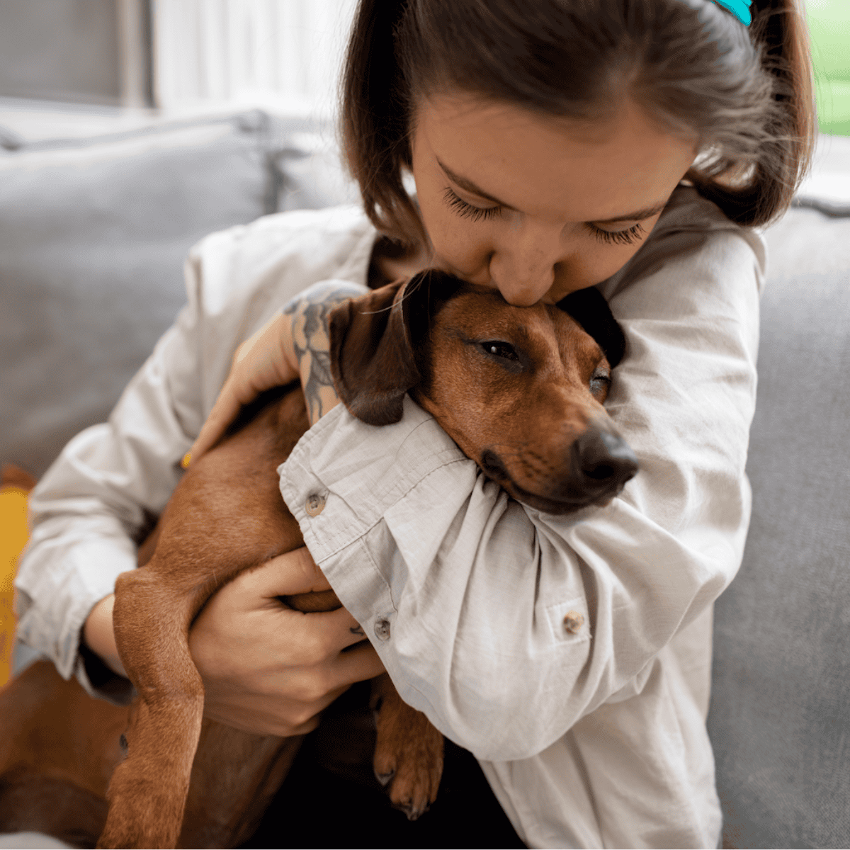 Dog rescue and pet support services.