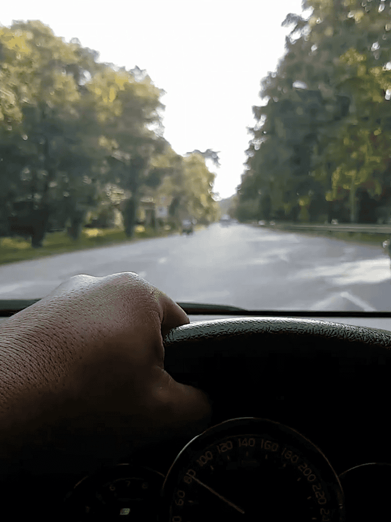 Hand gripping steering wheel while driving on a tree-lined road.