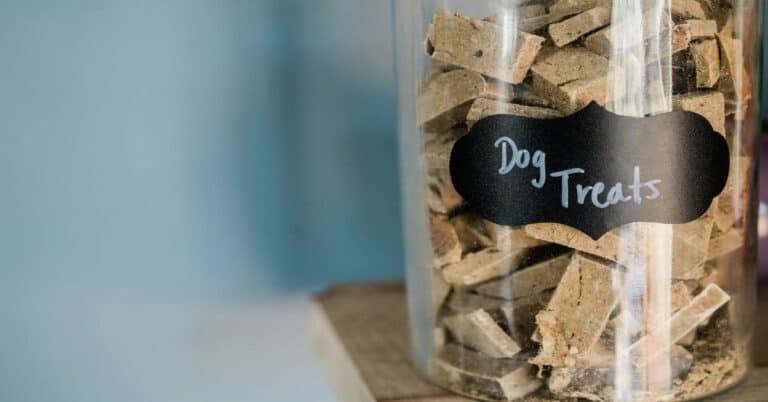 Close-up of a glass jar filled with dog treats labeled "Dog Treats" on a black chalkboard sticker. Perfect for dog training and snacking.