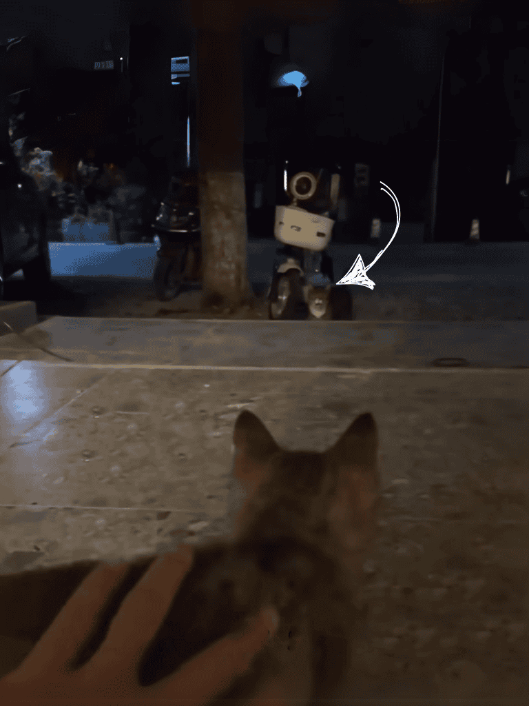 Nighttime dog watching with security camera view of a cat and a small dog observing a robot speaker on the street.