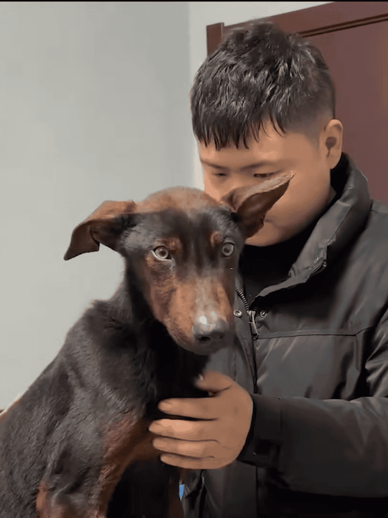 Adorable boy holding a cute Doberman puppy close up, showing bond and friendship between kid and dog.