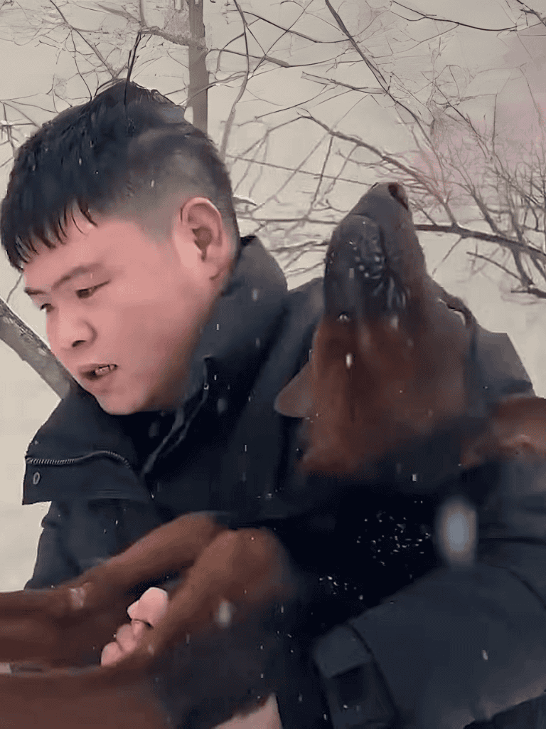 Dog rescue in snow with human.